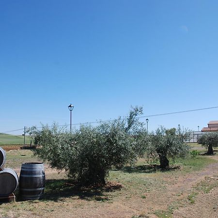 Casa Rural Teso De La Encina Villamor de los Escuderos 외부 사진