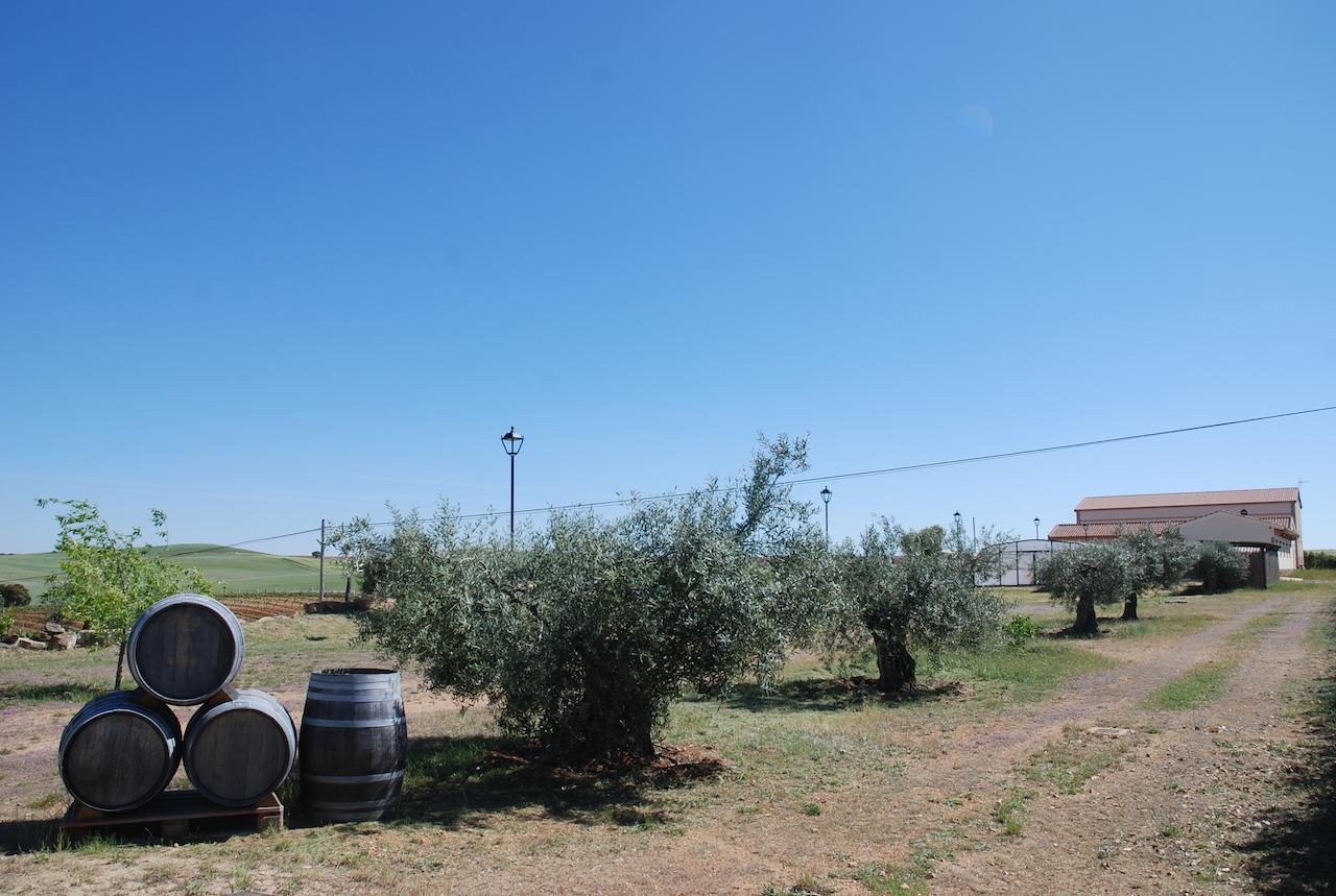 Casa Rural Teso De La Encina Villamor de los Escuderos 외부 사진
