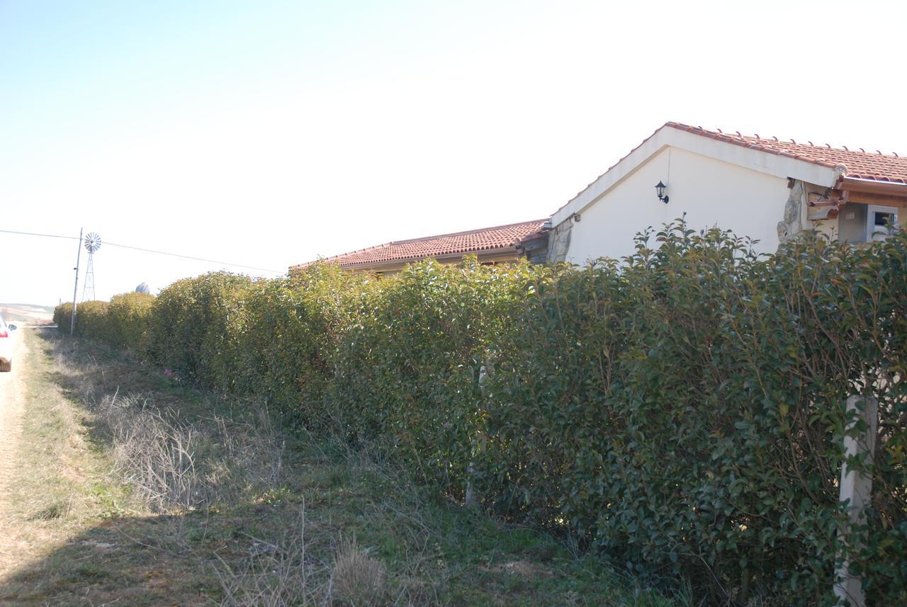 Casa Rural Teso De La Encina Villamor de los Escuderos 외부 사진