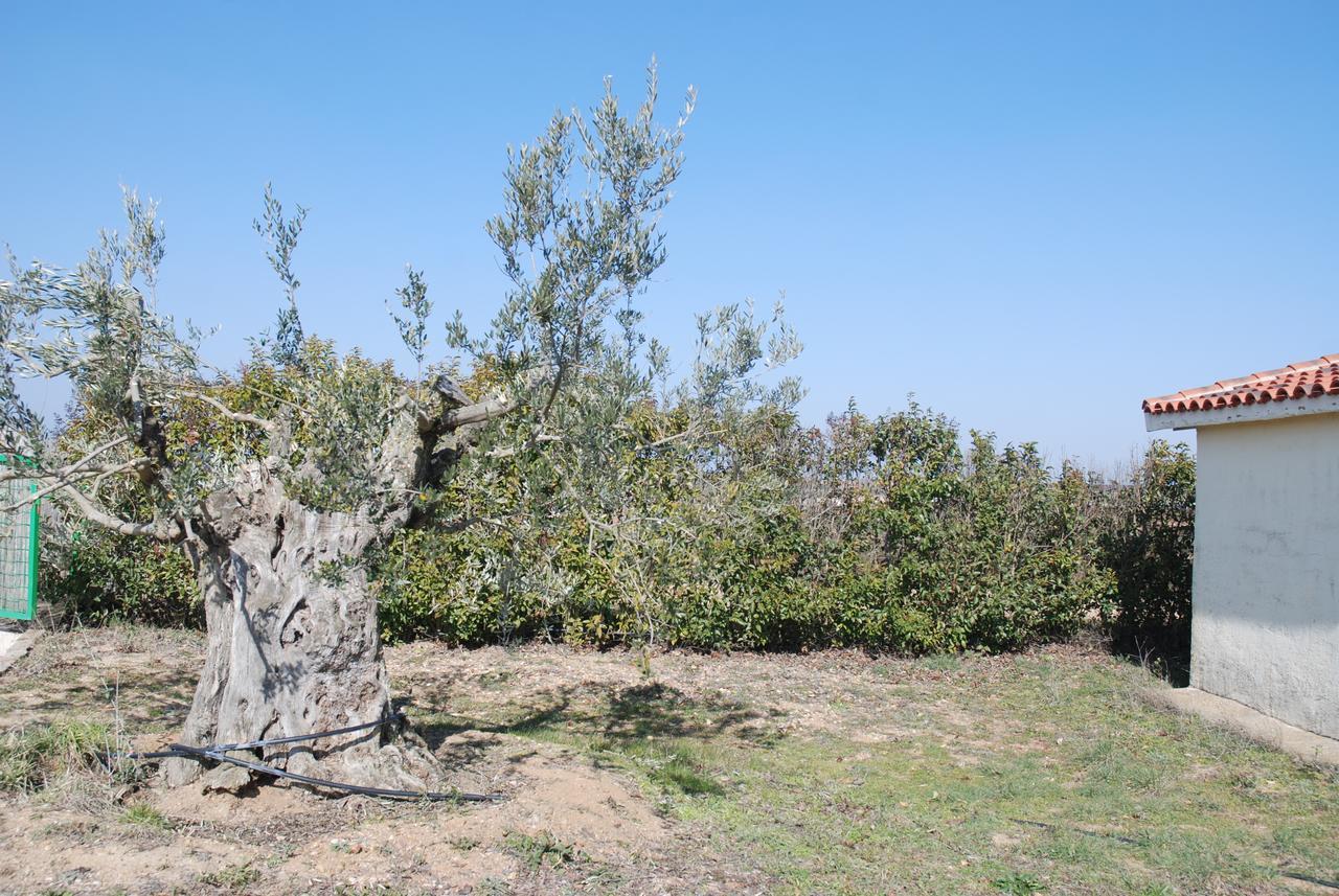 Casa Rural Teso De La Encina Villamor de los Escuderos 외부 사진