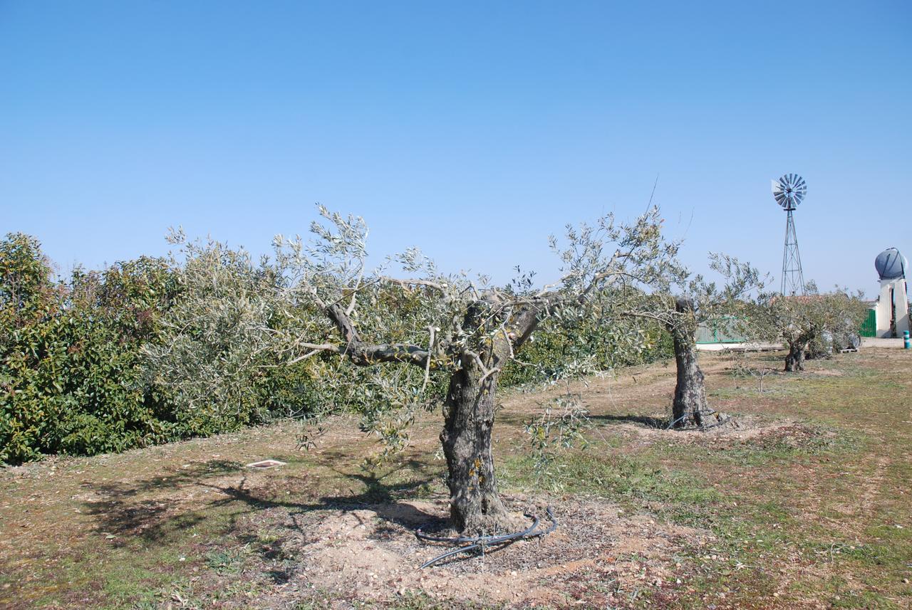 Casa Rural Teso De La Encina Villamor de los Escuderos 외부 사진