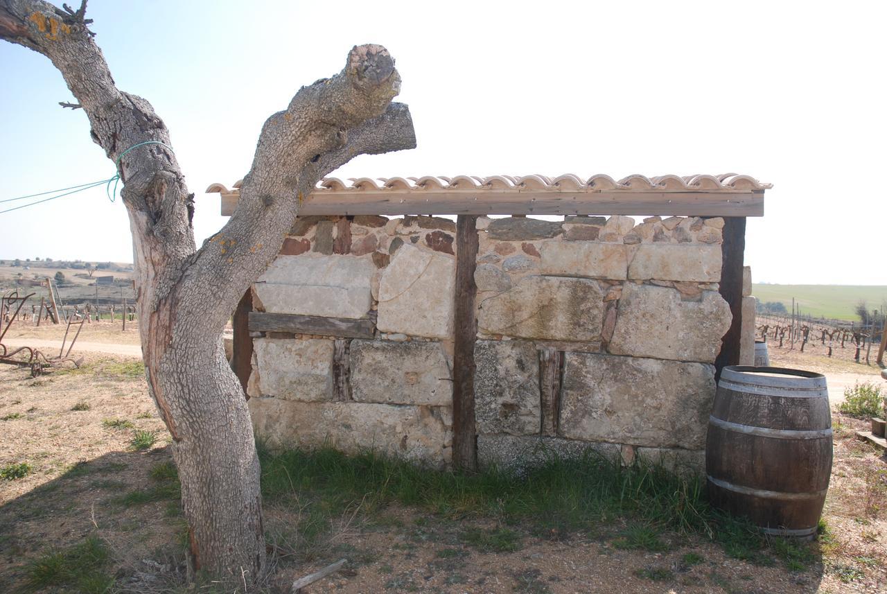 Casa Rural Teso De La Encina Villamor de los Escuderos 외부 사진